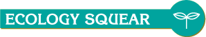 �Î����T�C�N���E�Đ����̃}�X�R�[����������� | Ecology Squear